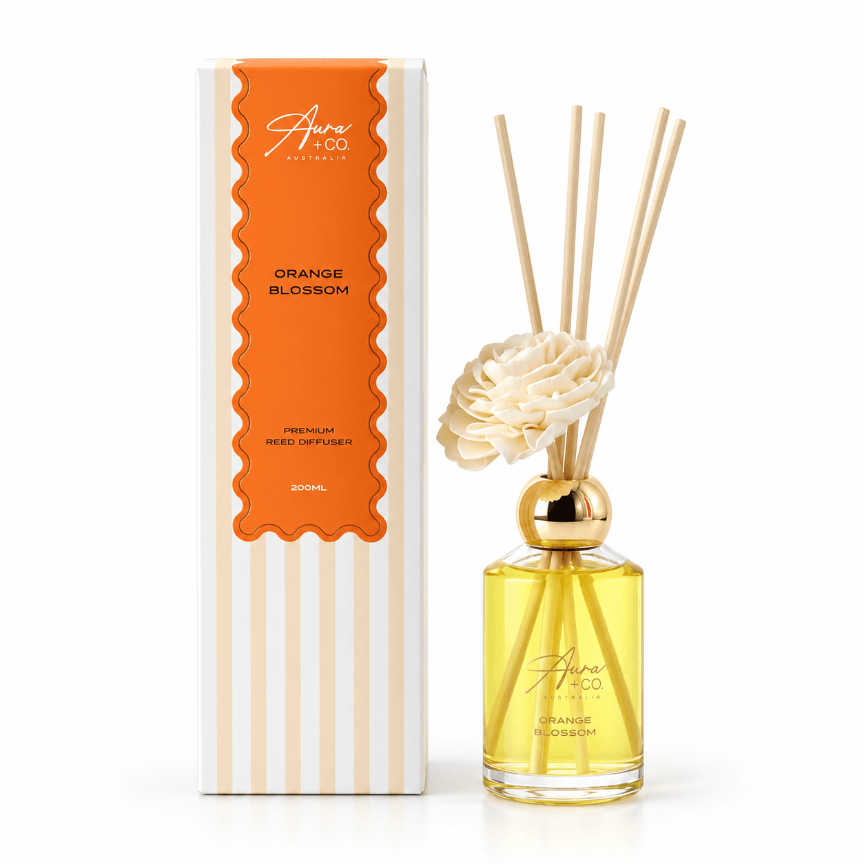 Aura + Co Home & Car Fragrance Bundle – Choose Your Reed & Car Diffuser - Image 11